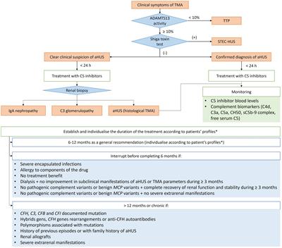 Recommendations for the individualised management of atypical hemolytic uremic syndrome in adults